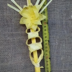 Palma Laurel - Imagen 1